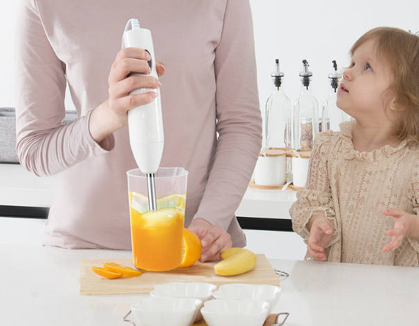 Handheld Kitchen Cooker Blender
